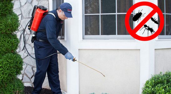 Foça Kemirgen İlaçlama böcek ilaçlama ve haşere kontrolü — ilaclama-tr.com